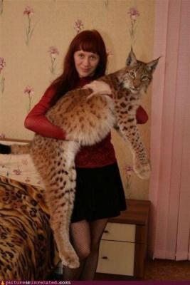 Прикрепленное изображение: stranie-040.jpg